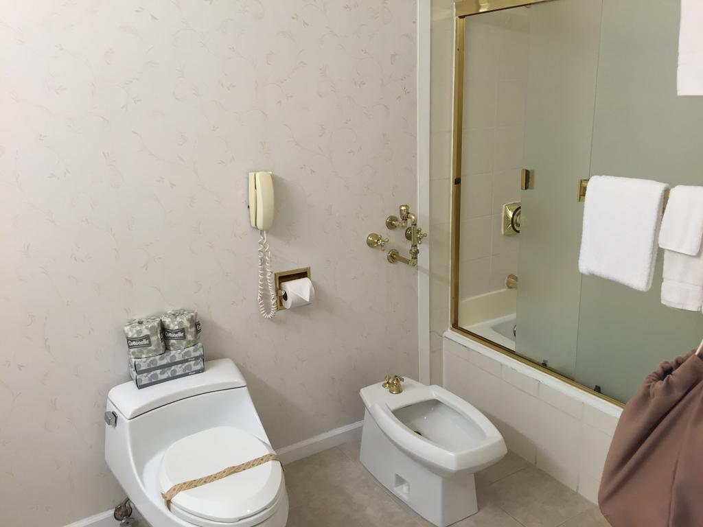 Studio-Suite mit Küche