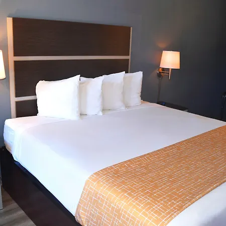Sf Central Hotel-3